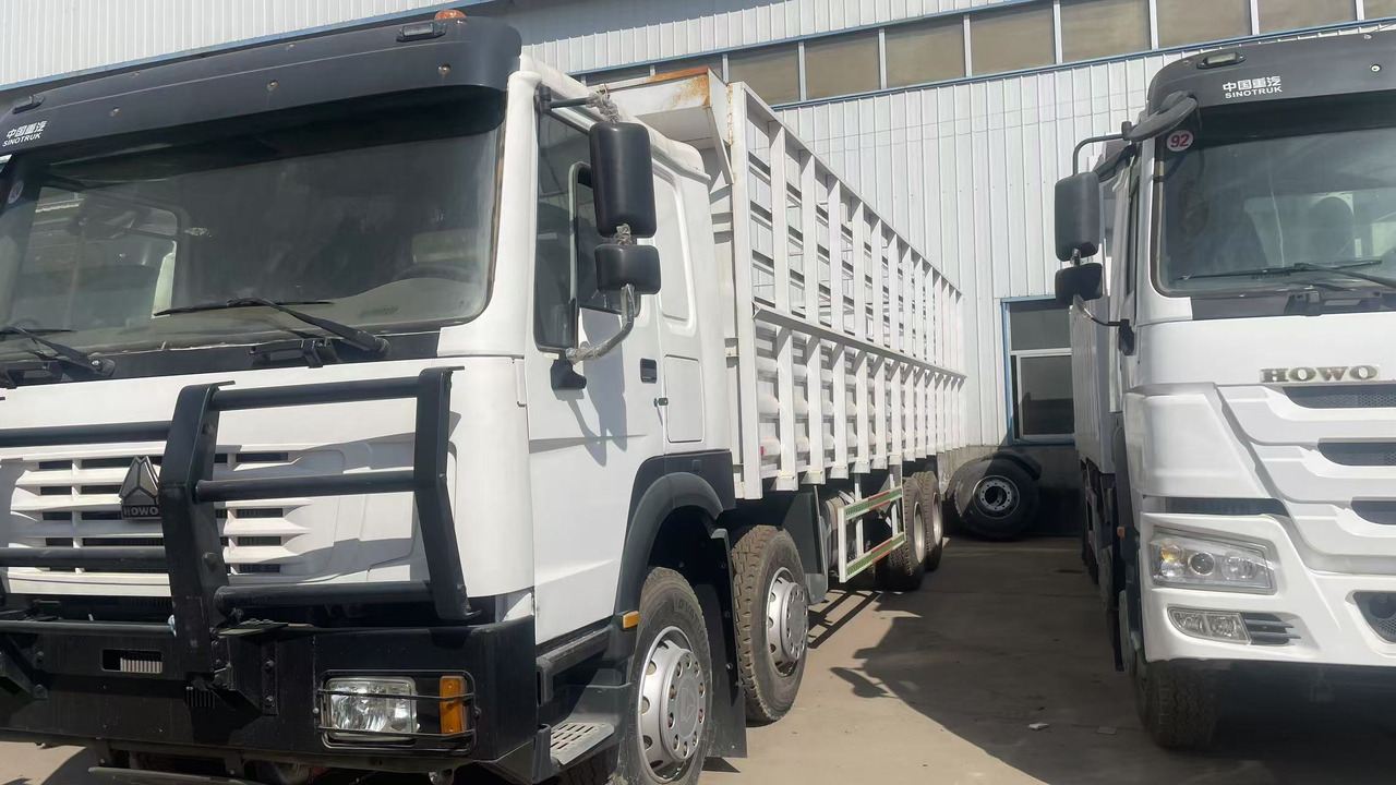SINOTRUK HOWO 8*4 DUMP TRUCK 371 375 380 420 HP - شاحنة نقل المواشي: صورة 2 SINOTRUK HOWO 8*4 DUMP TRUCK 371 375 380 420 HP - شاحنة نقل المواشي: صورة 2