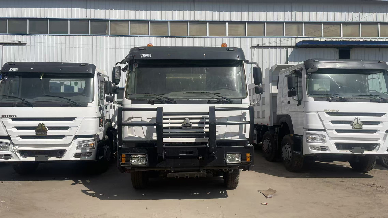SINOTRUK HOWO 8*4 DUMP TRUCK 371 375 380 420 HP - شاحنة نقل المواشي: صورة 1 SINOTRUK HOWO 8*4 DUMP TRUCK 371 375 380 420 HP - شاحنة نقل المواشي: صورة 1
