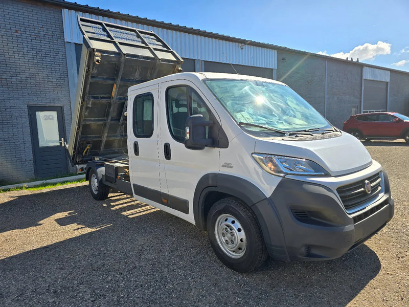 Fiat Ducato Tipper - قلاب صغير: صورة 4 Fiat Ducato Tipper - قلاب صغير: صورة 4