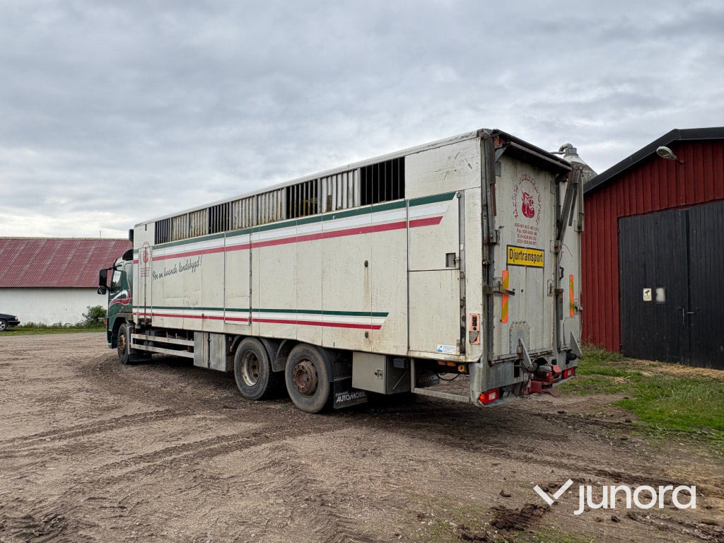 Djurtransport Volvo FM9 6x2 - شاحنة نقل المواشي: صورة 3 Djurtransport Volvo FM9 6x2 - شاحنة نقل المواشي: صورة 3