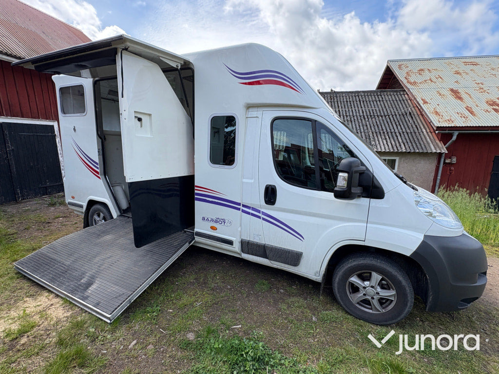Hästtransport Citroën Jumper - شاحنة نقل خيل, شاحنة التوصيل: صورة 5 Hästtransport Citroën Jumper - شاحنة نقل خيل, شاحنة التوصيل: صورة 5