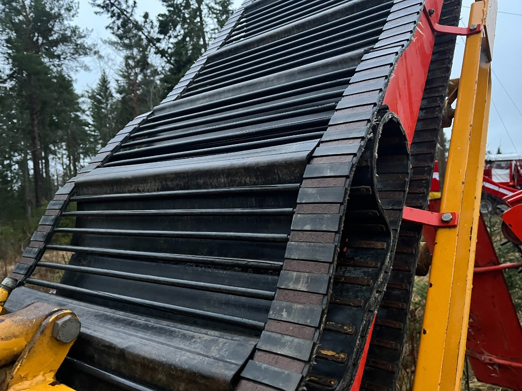 Samon Loading conveyor - حصادة العنب: صورة 3 Samon Loading conveyor - حصادة العنب: صورة 3