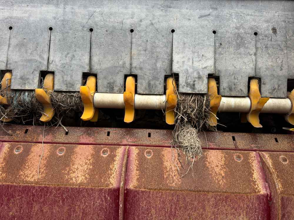 Scanstone 4215 WD - حصادة البطاطس: صورة 5 Scanstone 4215 WD - حصادة البطاطس: صورة 5