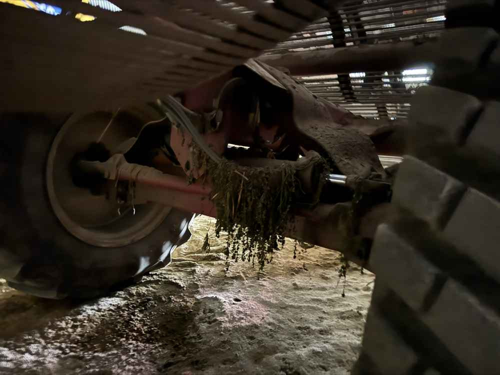 Scanstone ScanStone 5215 LWDH - حصادة البطاطس: صورة 5 Scanstone ScanStone 5215 LWDH - حصادة البطاطس: صورة 5