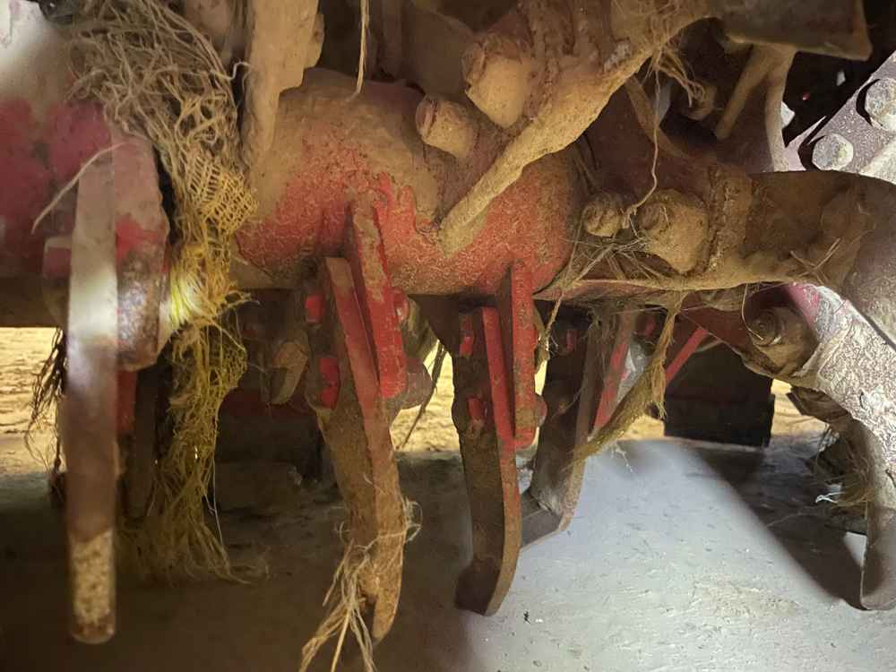 Grimme RT 300 - حصادة: صورة 3 Grimme RT 300 - حصادة: صورة 3