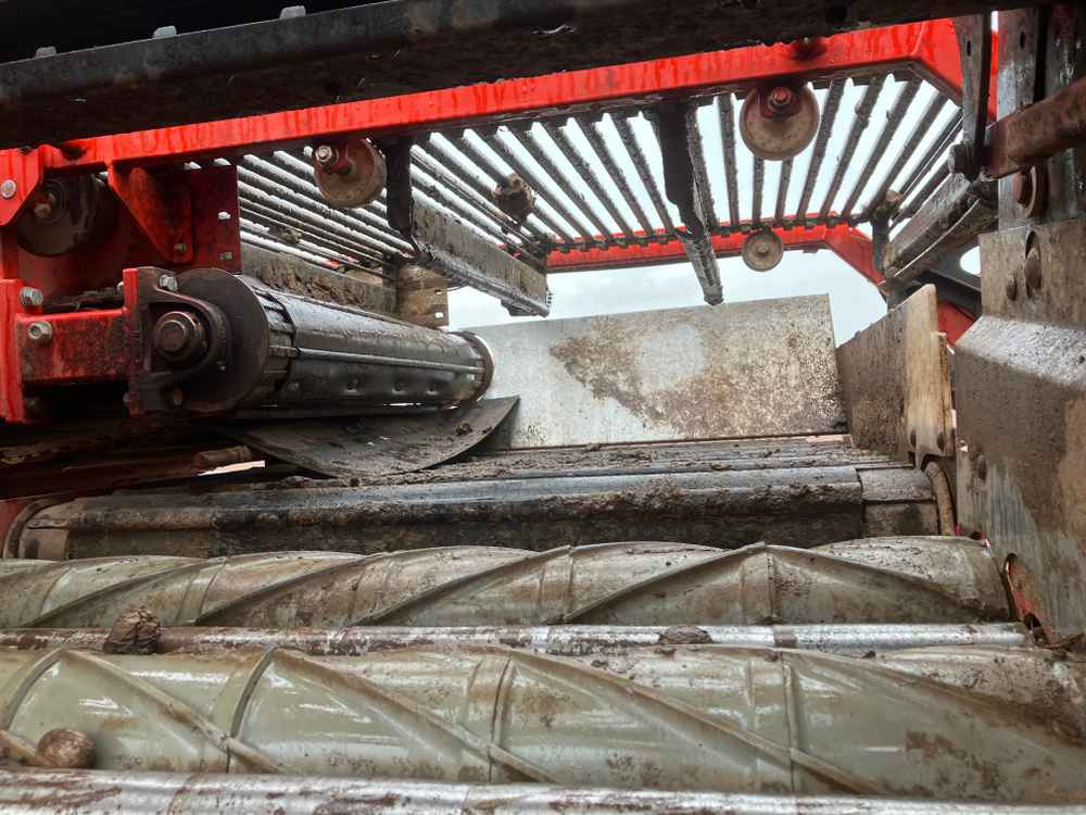 حصادة Dewulf DeWulf, RA3060, 2 Row, Self-Propelled Potato Harvester: صورة 6