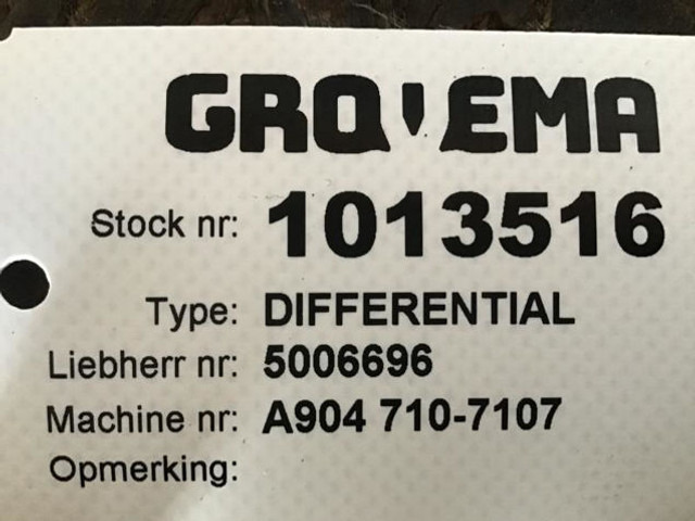 صندوق التروس التفاضلية ZF Differential: صورة 11