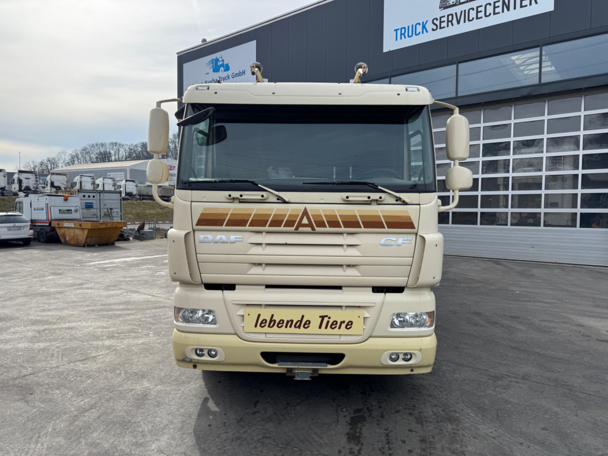 DAF CF410 4x2 - شاحنة نقل المواشي: صورة 2 DAF CF410 4x2 - شاحنة نقل المواشي: صورة 2