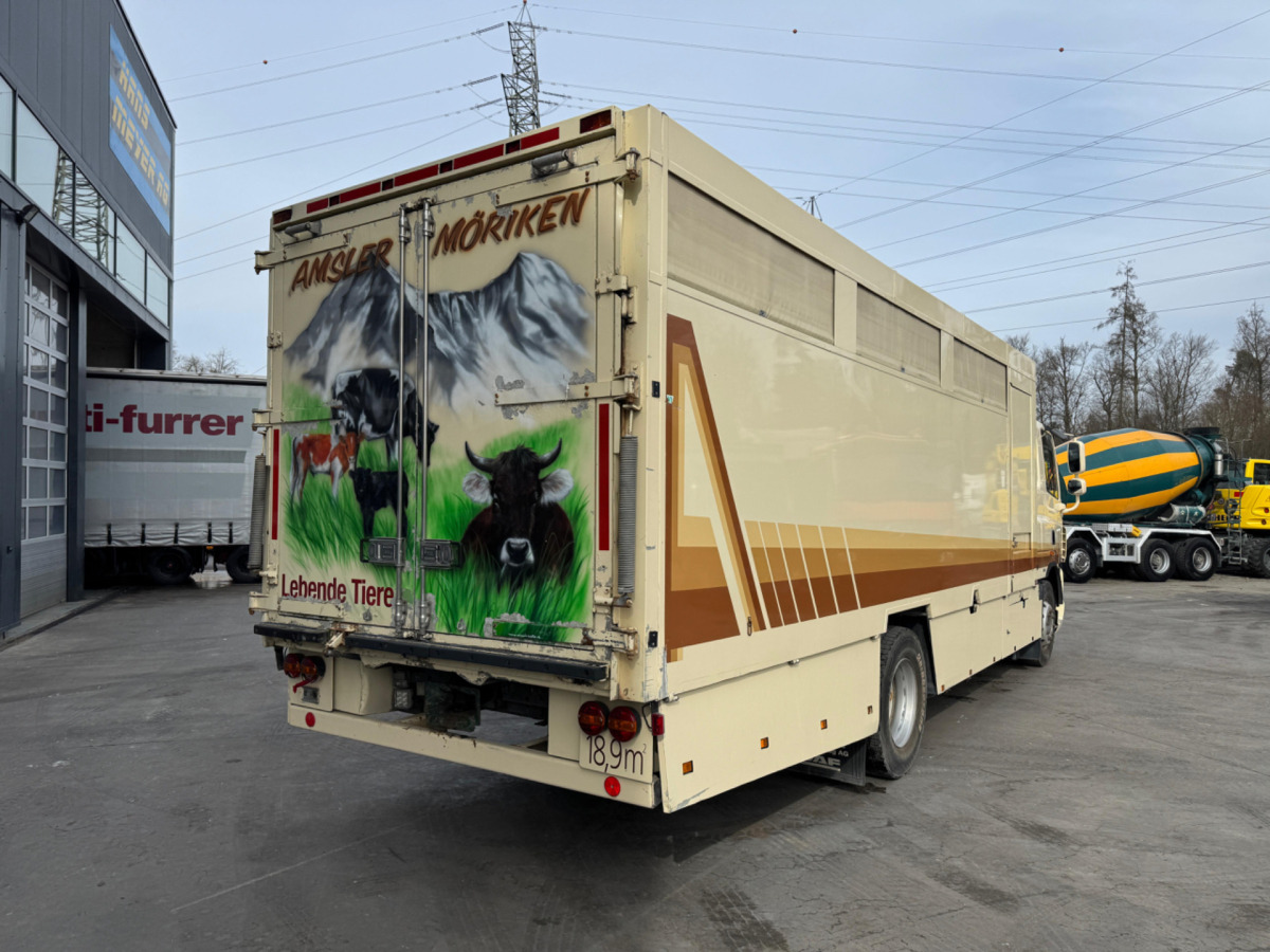 DAF CF410 4x2 - شاحنة نقل المواشي: صورة 5 DAF CF410 4x2 - شاحنة نقل المواشي: صورة 5
