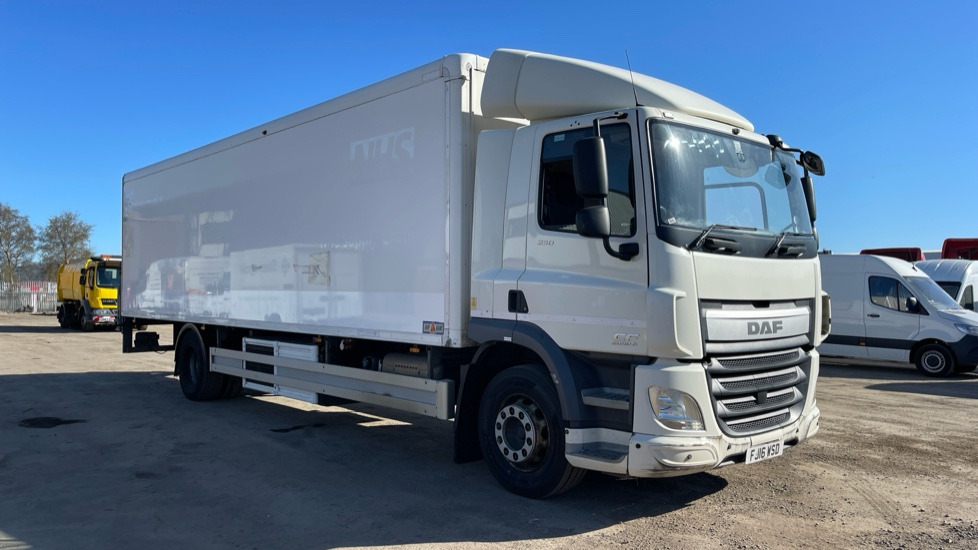 DAF CF 250 - شاحنة الفريزر: صورة 1 DAF CF 250 - شاحنة الفريزر: صورة 1