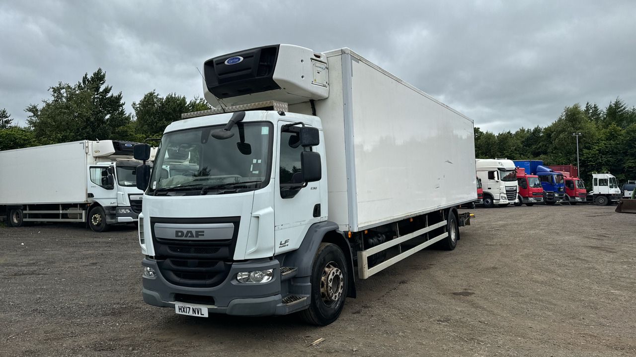 DAF LF 250 - شاحنة الفريزر: صورة 2 DAF LF 250 - شاحنة الفريزر: صورة 2