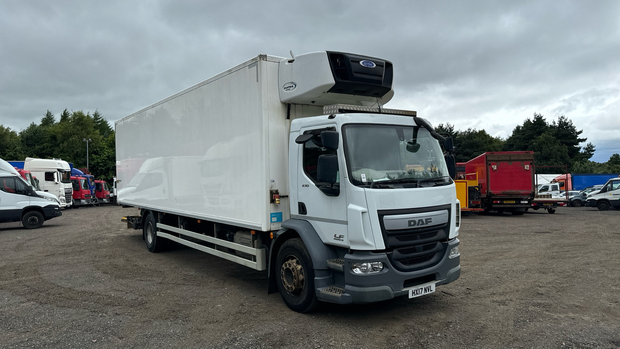 DAF LF 250 - شاحنة الفريزر: صورة 1 DAF LF 250 - شاحنة الفريزر: صورة 1