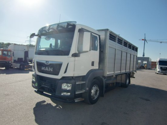 MAN TGS 18.420 Tiertransporter,Euro 6, Manual Seilwinde, el. Ladebordwand Voll Luft - شاحنة نقل خيل: صورة 1 MAN TGS 18.420 Tiertransporter,Euro 6, Manual Seilwinde, el. Ladebordwand Voll Luft - شاحنة نقل خيل: صورة 1