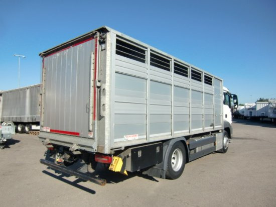 MAN TGS 18.420 Tiertransporter,Euro 6, Manual Seilwinde, el. Ladebordwand Voll Luft - شاحنة نقل خيل: صورة 4 MAN TGS 18.420 Tiertransporter,Euro 6, Manual Seilwinde, el. Ladebordwand Voll Luft - شاحنة نقل خيل: صورة 4