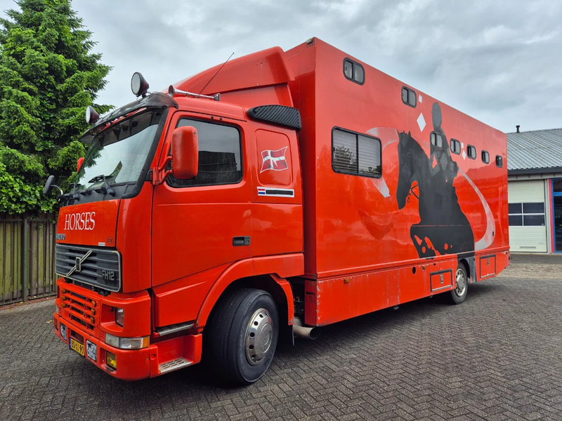 Volvo FH 12.. 380pk luchtgeveerd voor en achteras - شاحنة نقل خيل: صورة 1 Volvo FH 12.. 380pk luchtgeveerd voor en achteras - شاحنة نقل خيل: صورة 1
