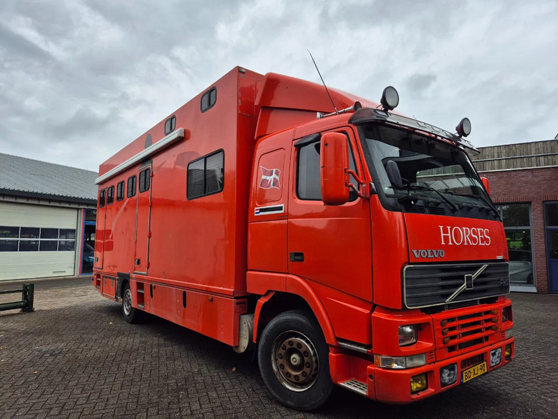 Volvo FH 12.. 380pk luchtgeveerd voor en achteras - شاحنة نقل خيل: صورة 4 Volvo FH 12.. 380pk luchtgeveerd voor en achteras - شاحنة نقل خيل: صورة 4