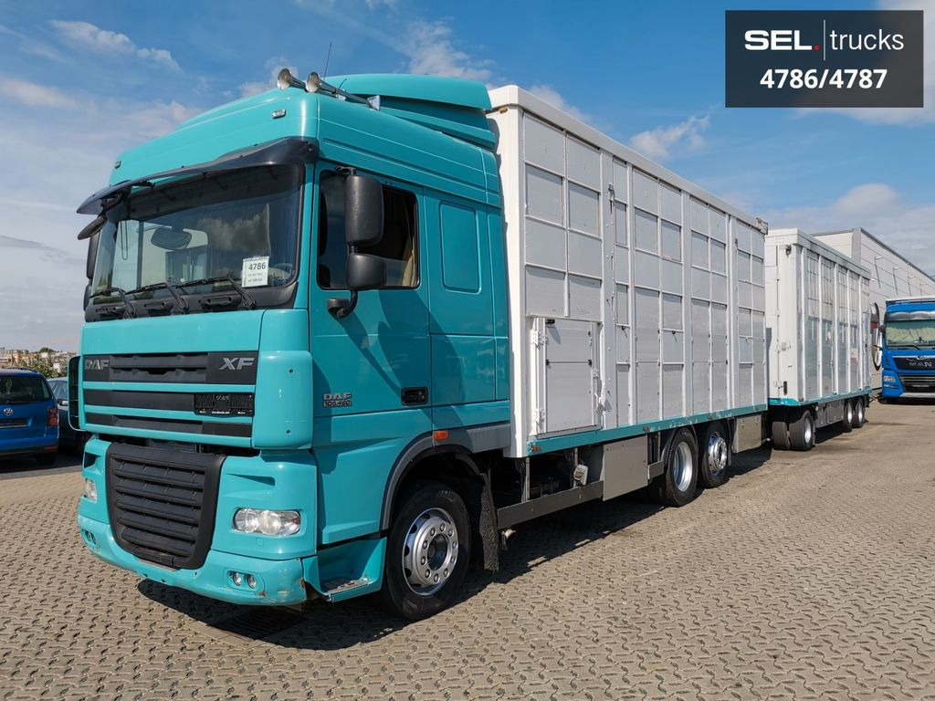 DAF XF 105.460 / Intarder / 4 Stock / KOMPLETT ! DAF XF 105.460 / Intarder / 4 Stock / KOMPLETT ! - شاحنة نقل المواشي: صورة 2 DAF XF 105.460 / Intarder / 4 Stock / KOMPLETT ! DAF XF 105.460 / Intarder / 4 Stock / KOMPLETT ! - شاحنة نقل المواشي: صورة 2