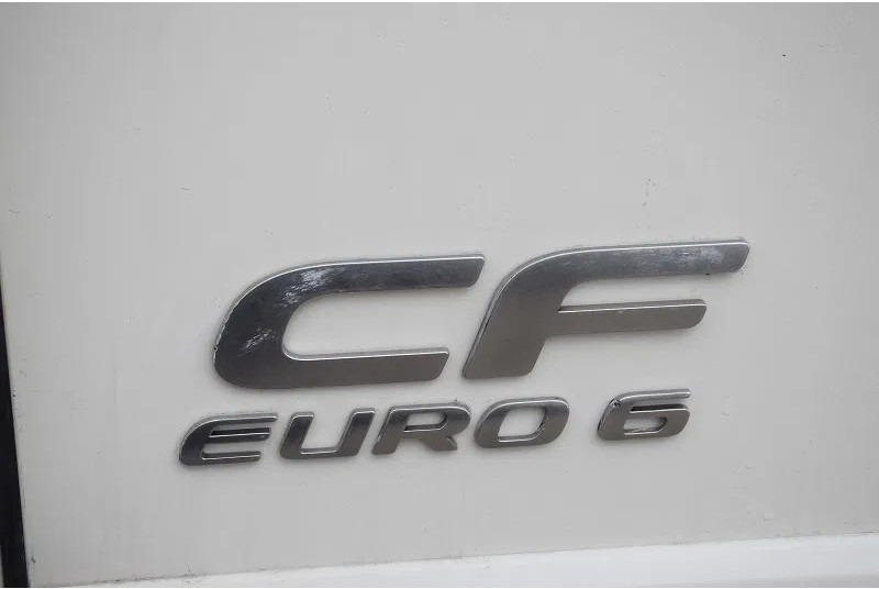 DAF CF 460 - شاحنة ذات خطاف: صورة 4 DAF CF 460 - شاحنة ذات خطاف: صورة 4