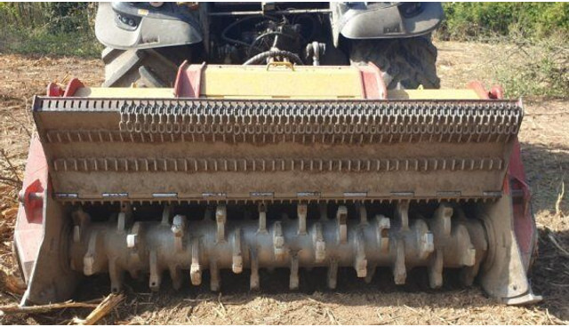 SEPPI M Starforst 2MEC 235 - ماكينات قطع الحشائش الغابات: صورة 3 SEPPI M Starforst 2MEC 235 - ماكينات قطع الحشائش الغابات: صورة 3