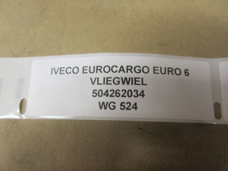 Iveco EUROCARGO 504262034 VLIEGWIEL EURO 6 - دولاب الموازنة - شاحنة: صورة 3 Iveco EUROCARGO 504262034 VLIEGWIEL EURO 6 - دولاب الموازنة - شاحنة: صورة 3