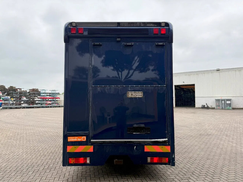 Mercedes-Benz Atego 1223 / ENGINE RUNNING / ONLY:159450 KM / HORSETRUCK / HEATED BOX / GEN2-TACHO= WATERTANK / LIVING ROOM / EURO-2 / MANUAL / - شاحنة نقل خيل: صورة 4 Mercedes-Benz Atego 1223 / ENGINE RUNNING / ONLY:159450 KM / HORSETRUCK / HEATED BOX / GEN2-TACHO= WATERTANK / LIVING ROOM / EURO-2 / MANUAL / - شاحنة نقل خيل: صورة 4