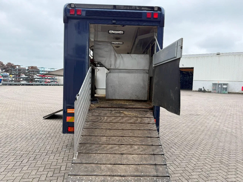 Mercedes-Benz Atego 1223 / ENGINE RUNNING / ONLY:159450 KM / HORSETRUCK / HEATED BOX / WATERTANK / LIVING ROOM / EURO-2 / MANUAL / 1998 - شاحنة نقل خيل: صورة 5 Mercedes-Benz Atego 1223 / ENGINE RUNNING / ONLY:159450 KM / HORSETRUCK / HEATED BOX / WATERTANK / LIVING ROOM / EURO-2 / MANUAL / 1998 - شاحنة نقل خيل: صورة 5