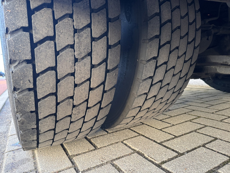 شاحنة الفريزر Scania P230 -25 C Firgo/Cooling/Freeze/Tiefkuhl Lamberet Taillift: صورة 20