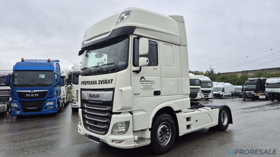 DAF XF 530 FT SSC EURO 6 - وحدة جر: صورة 2 DAF XF 530 FT SSC EURO 6 - وحدة جر: صورة 2