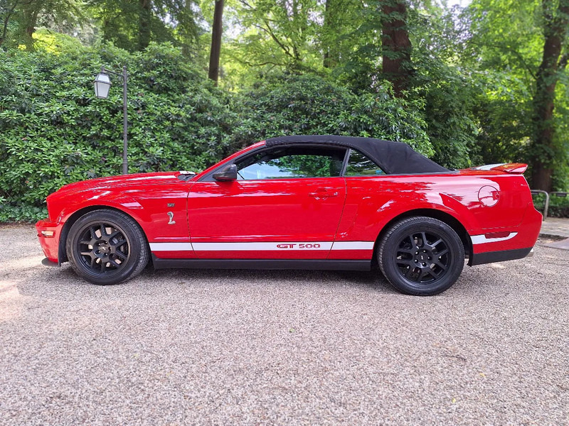 سيارة Ford Mustang Original SHELBY COBRA 5.4 V8 gt500 cabrio: صورة 13