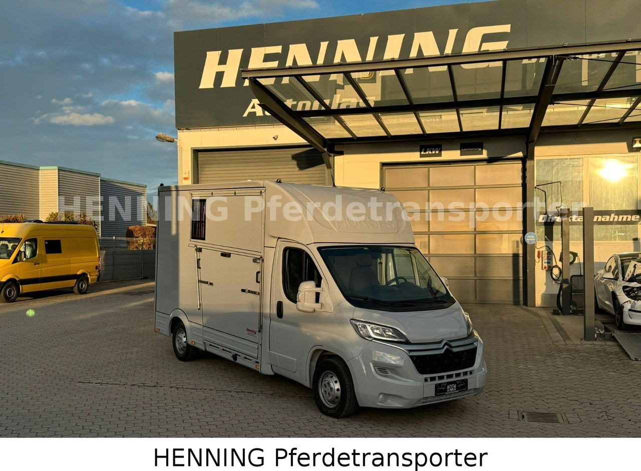 Citroën Jumper 3 - Sitzer - شاحنة نقل المواشي: صورة 1 Citroën Jumper 3 - Sitzer - شاحنة نقل المواشي: صورة 1