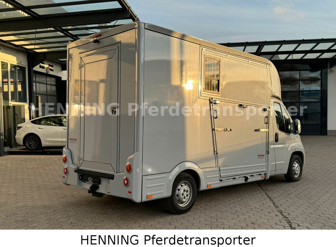 Citroën Jumper 3 - Sitzer - شاحنة نقل المواشي: صورة 3 Citroën Jumper 3 - Sitzer - شاحنة نقل المواشي: صورة 3