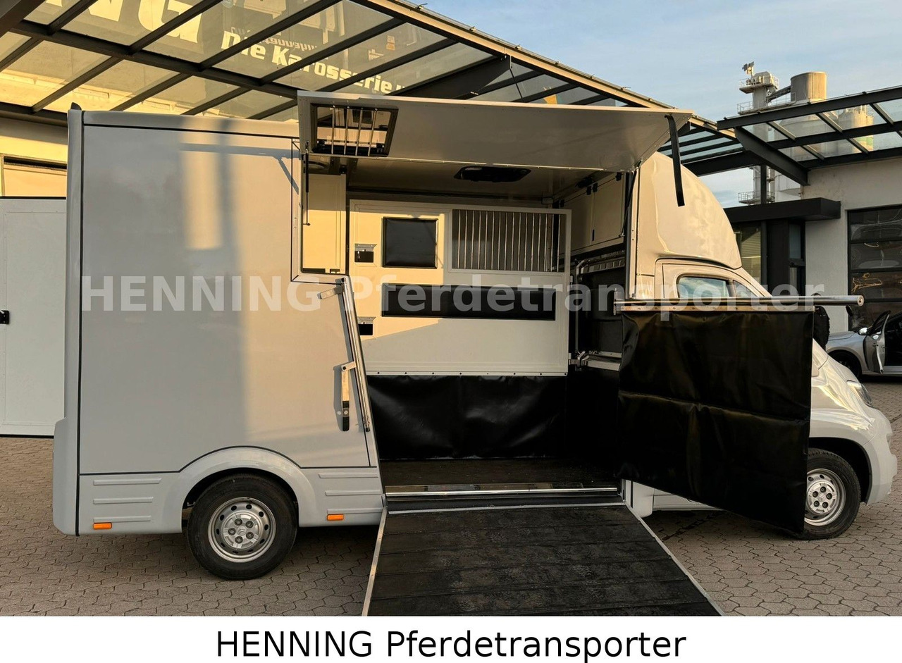 Citroën Jumper 3 - Sitzer - شاحنة نقل المواشي: صورة 4 Citroën Jumper 3 - Sitzer - شاحنة نقل المواشي: صورة 4