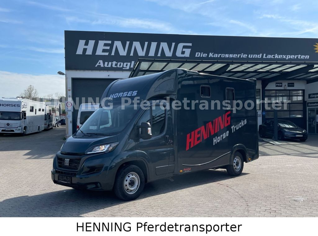 Fiat Ducato 3 - Sitzer *VORFÜHRUNGSFAHRZEUG* - شاحنة نقل خيل: صورة 1 Fiat Ducato 3 - Sitzer *VORFÜHRUNGSFAHRZEUG* - شاحنة نقل خيل: صورة 1