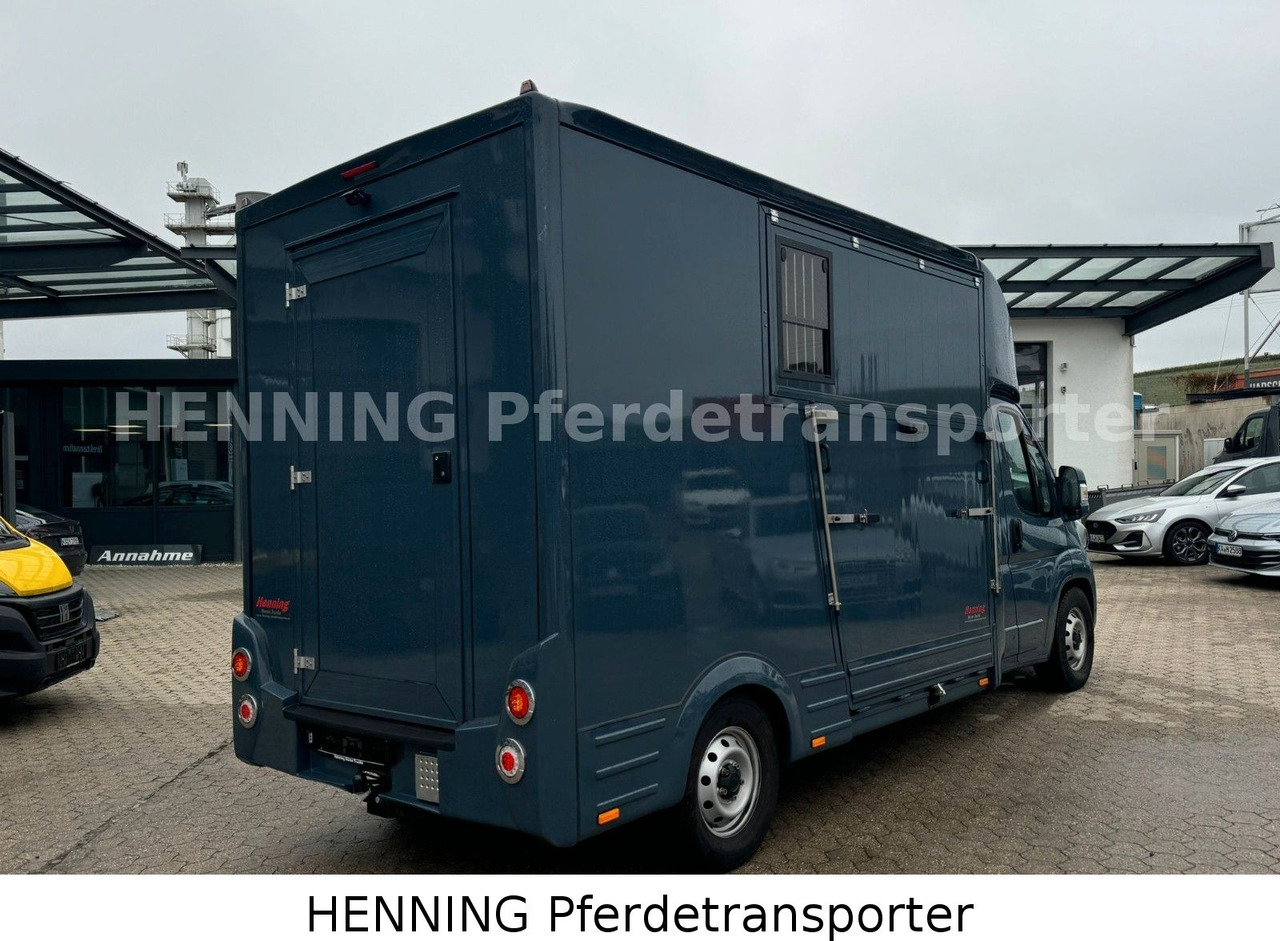 Fiat Ducato *AUTOMATIK* 3 - Sitzer - شاحنة نقل المواشي: صورة 3 Fiat Ducato *AUTOMATIK* 3 - Sitzer - شاحنة نقل المواشي: صورة 3