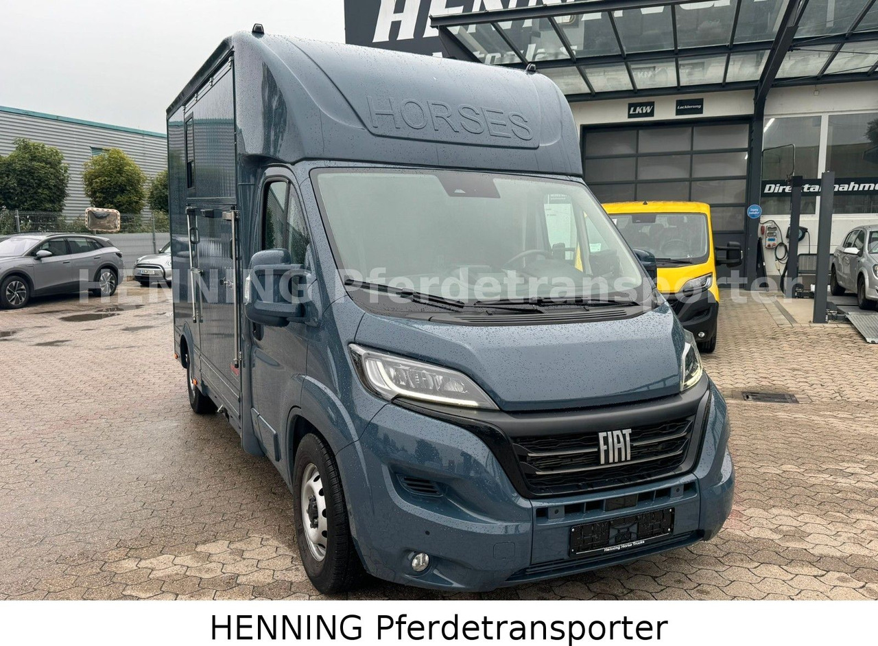 Fiat Ducato *AUTOMATIK* 3 - Sitzer - شاحنة نقل المواشي: صورة 2 Fiat Ducato *AUTOMATIK* 3 - Sitzer - شاحنة نقل المواشي: صورة 2