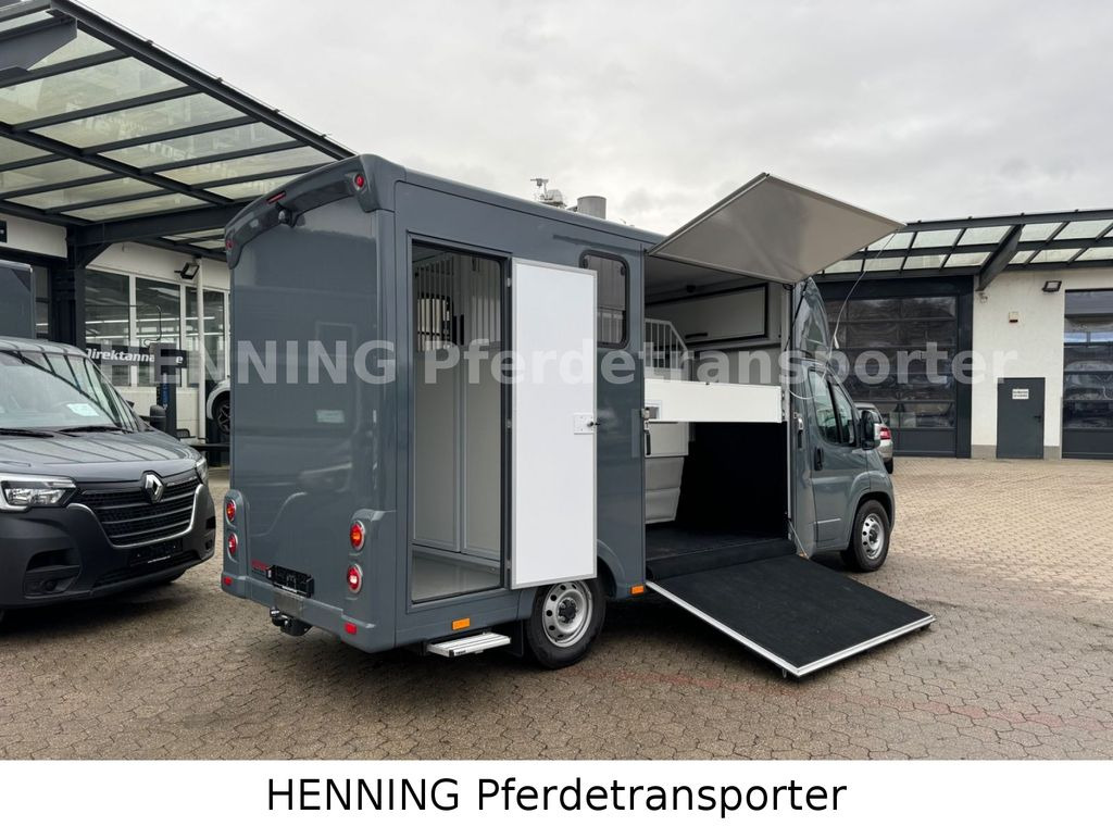 Fiat Ducato *NEUWAGEN* ca.1100 kg Nutzlast - شاحنة نقل خيل: صورة 3 Fiat Ducato *NEUWAGEN* ca.1100 kg Nutzlast - شاحنة نقل خيل: صورة 3