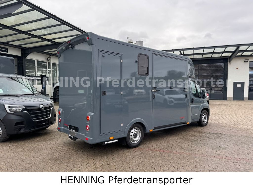 Fiat Ducato *NEUWAGEN* ca.1100 kg Nutzlast - شاحنة نقل خيل: صورة 2 Fiat Ducato *NEUWAGEN* ca.1100 kg Nutzlast - شاحنة نقل خيل: صورة 2