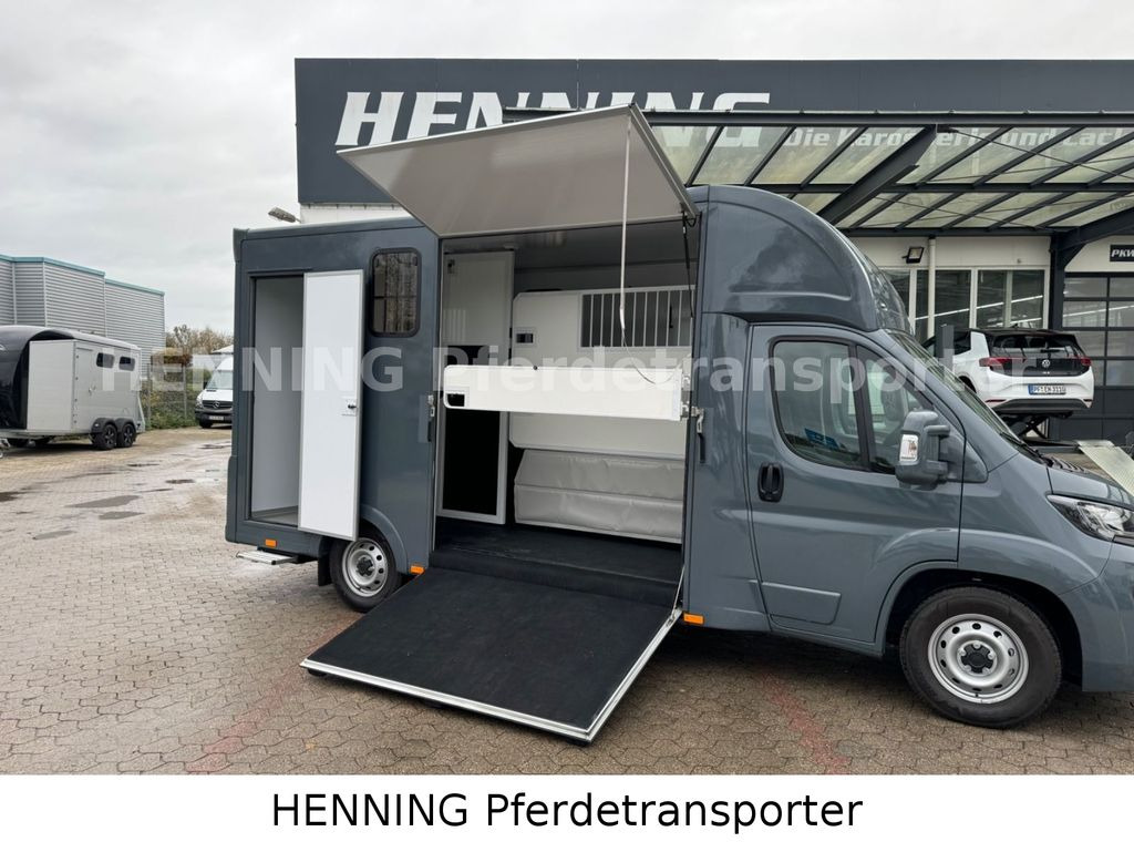 Fiat Ducato *NEUWAGEN* ca.1100 kg Nutzlast - شاحنة نقل خيل: صورة 4 Fiat Ducato *NEUWAGEN* ca.1100 kg Nutzlast - شاحنة نقل خيل: صورة 4