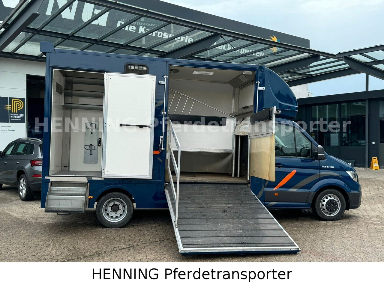 MAN TGE 5.500kg Gesamtgewicht - شاحنة نقل المواشي: صورة 5 MAN TGE 5.500kg Gesamtgewicht - شاحنة نقل المواشي: صورة 5