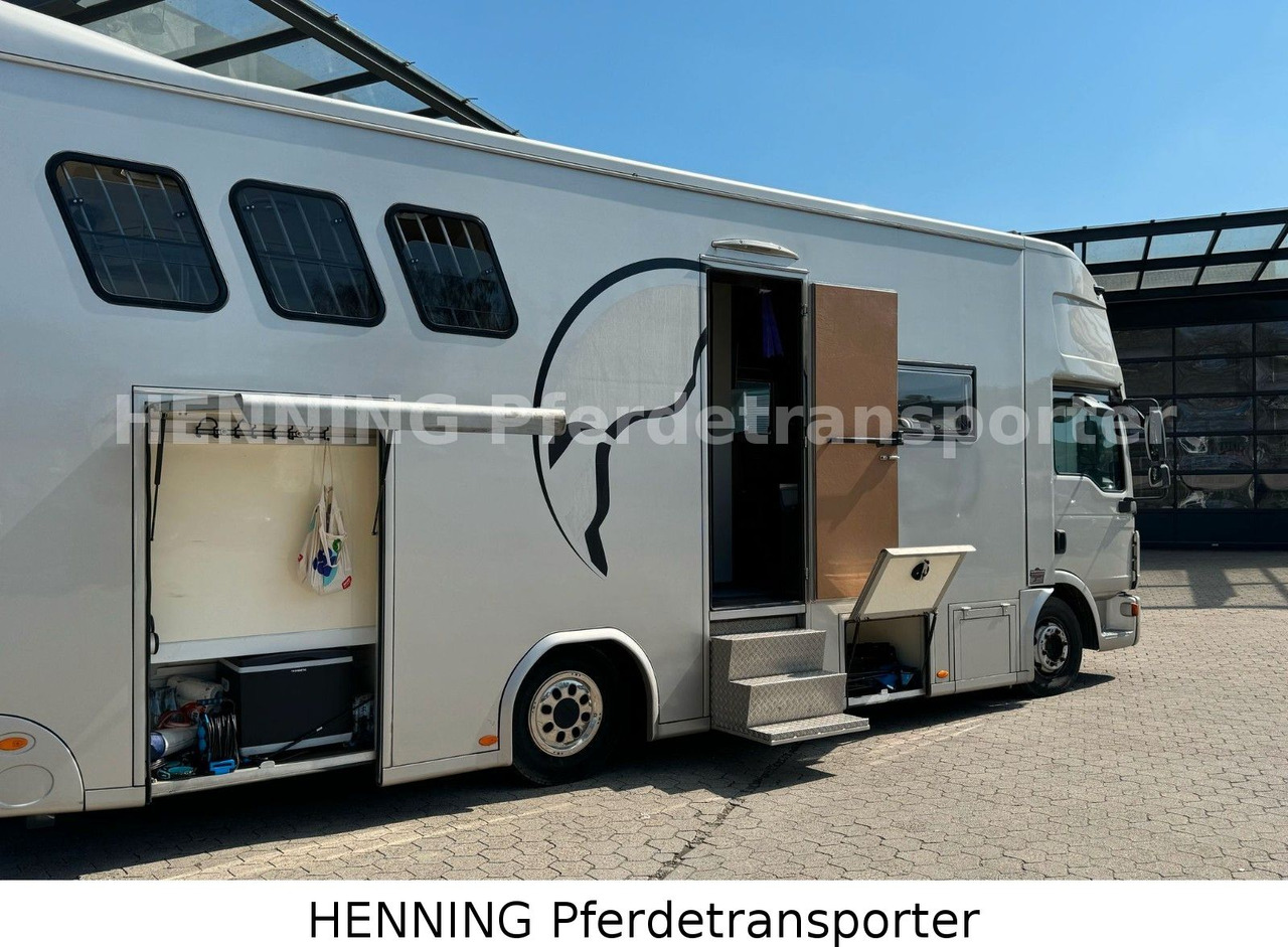 MAN TGL PFERDETRANSPORTER RJH MAN TGL PFERDETRANSPORTER RJH: صورة 9