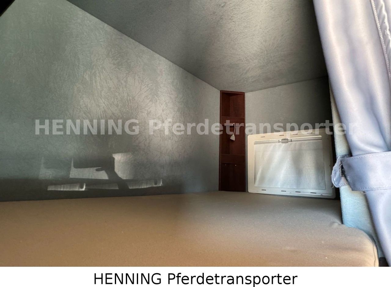 MAN TGL PFERDETRANSPORTER RJH MAN TGL PFERDETRANSPORTER RJH: صورة 19