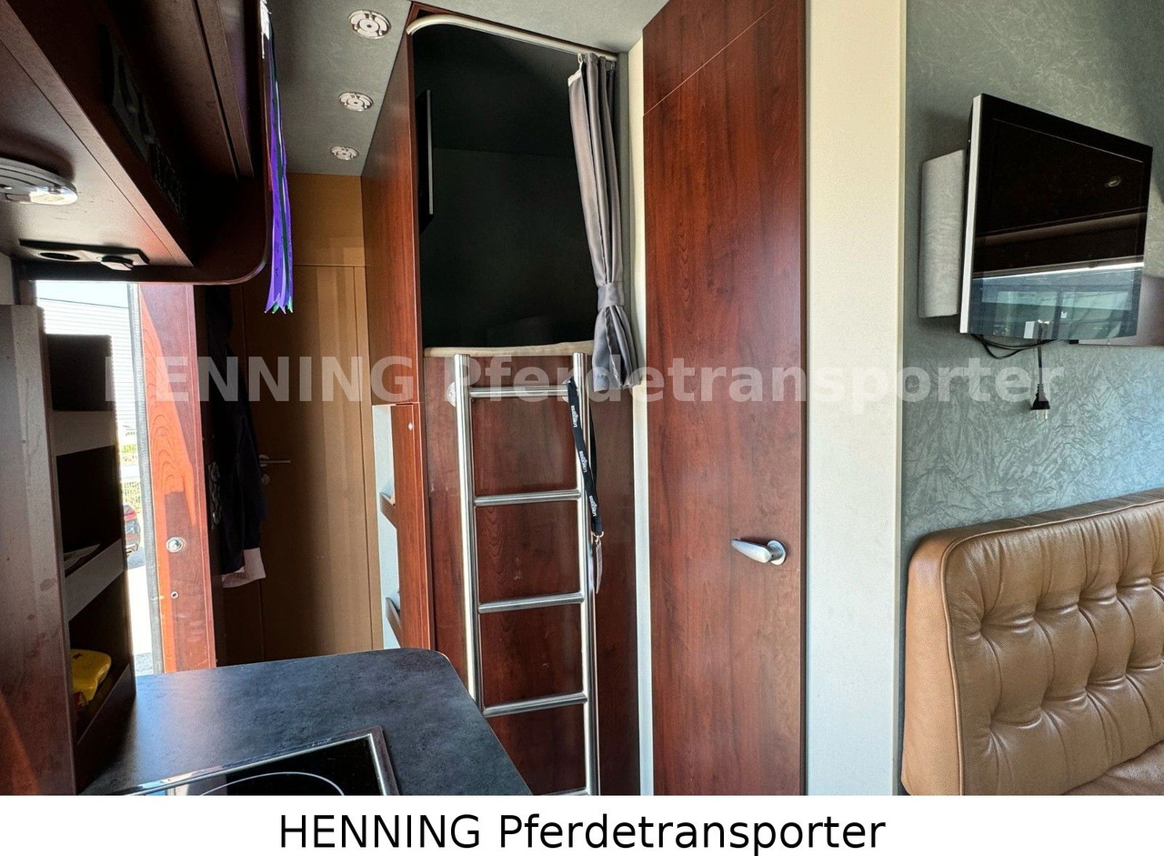 MAN TGL PFERDETRANSPORTER RJH MAN TGL PFERDETRANSPORTER RJH: صورة 18