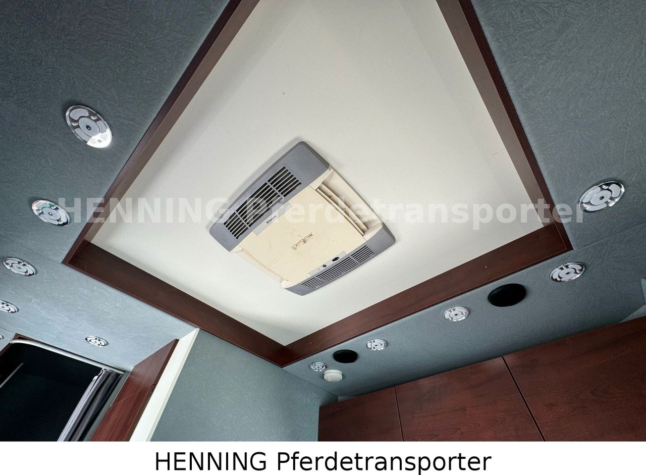 MAN TGL PFERDETRANSPORTER RJH MAN TGL PFERDETRANSPORTER RJH: صورة 16