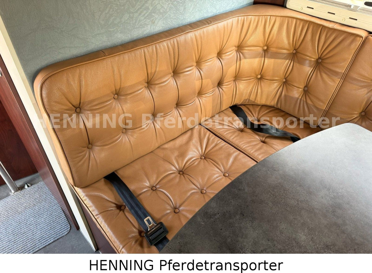 MAN TGL PFERDETRANSPORTER RJH MAN TGL PFERDETRANSPORTER RJH: صورة 13