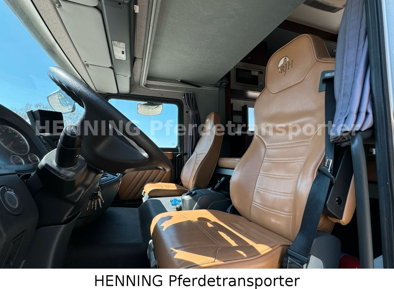 MAN TGL PFERDETRANSPORTER RJH MAN TGL PFERDETRANSPORTER RJH: صورة 17