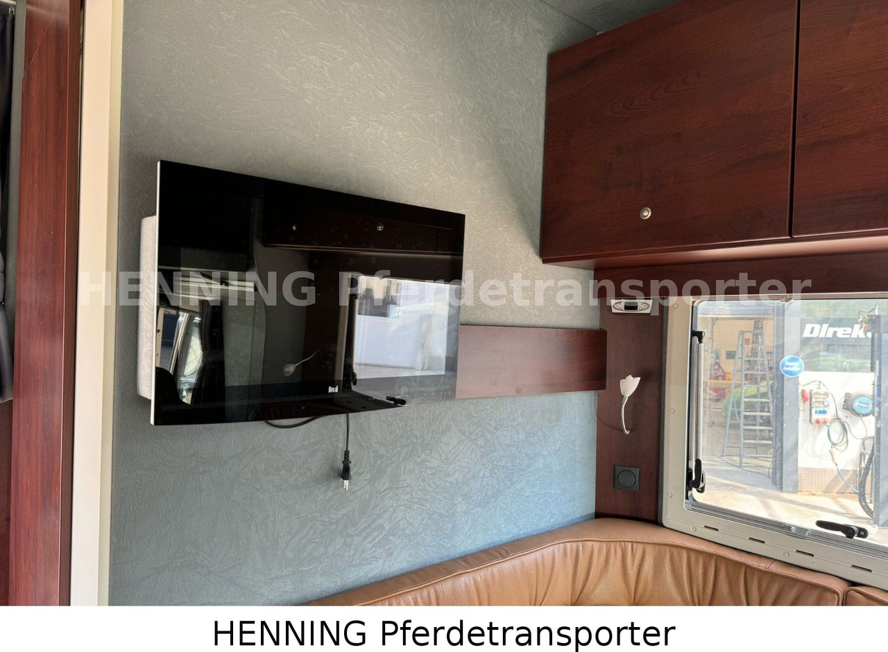 MAN TGL PFERDETRANSPORTER RJH MAN TGL PFERDETRANSPORTER RJH: صورة 14