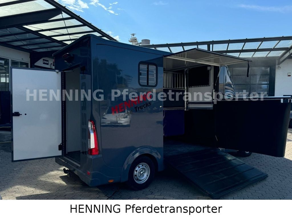 Opel Movano 3 - Sitzer *AUFBAU NEU* - شاحنة نقل خيل: صورة 3 Opel Movano 3 - Sitzer *AUFBAU NEU* - شاحنة نقل خيل: صورة 3