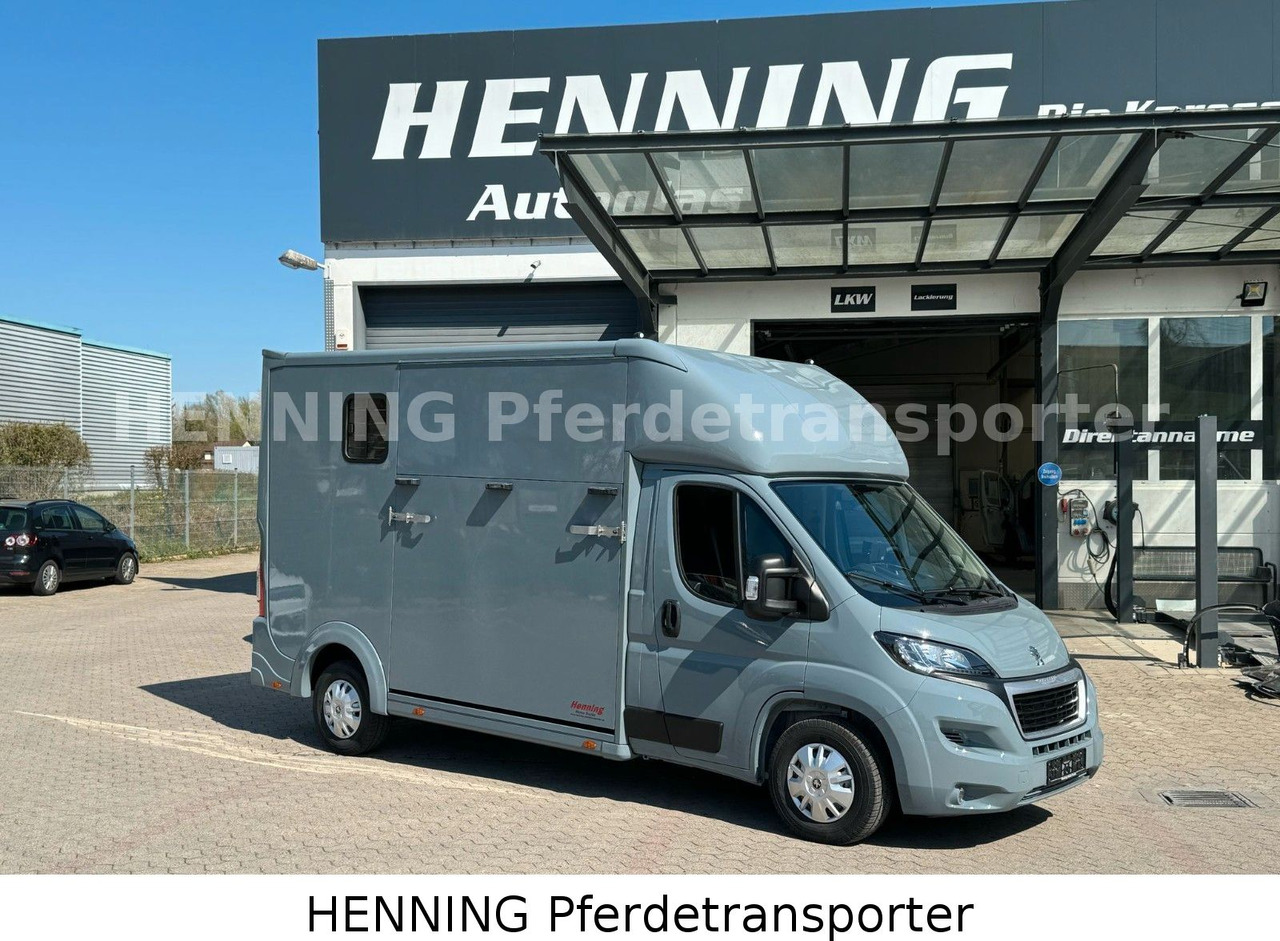 Peugeot Boxer 3-Sitzer *NEUWAGEN* 1000 KG NUTZLAST - شاحنة نقل خيل: صورة 1 Peugeot Boxer 3-Sitzer *NEUWAGEN* 1000 KG NUTZLAST - شاحنة نقل خيل: صورة 1