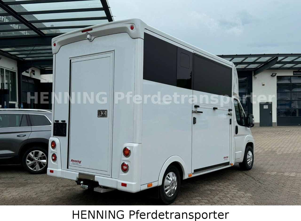 Peugeot Boxer *NEUWAGEN* ca. 1.200kg Nutzlast - شاحنة نقل المواشي: صورة 3 Peugeot Boxer *NEUWAGEN* ca. 1.200kg Nutzlast - شاحنة نقل المواشي: صورة 3