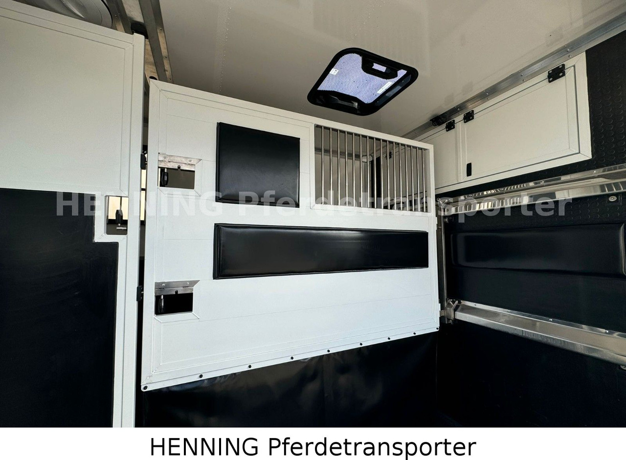 Renault Master 3 - Sitzer *NEUES MODELL* - شاحنة نقل المواشي: صورة 5 Renault Master 3 - Sitzer *NEUES MODELL* - شاحنة نقل المواشي: صورة 5